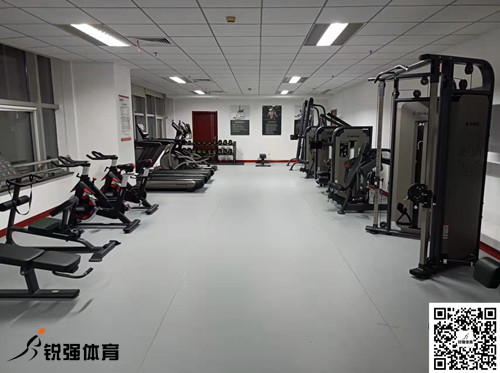 濟南某集團采購的zoty中欧体育官方网站體育提供的健身器材